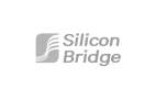 Silicon Bridge